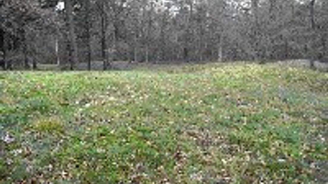 5f8797e07ad153c3c12577b300255c84_wpicture1_1.jpg