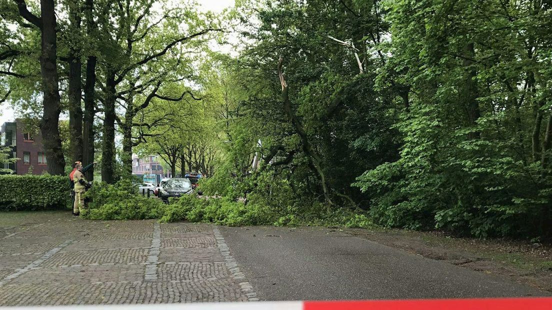 Hoogwerker moet tak afzagen