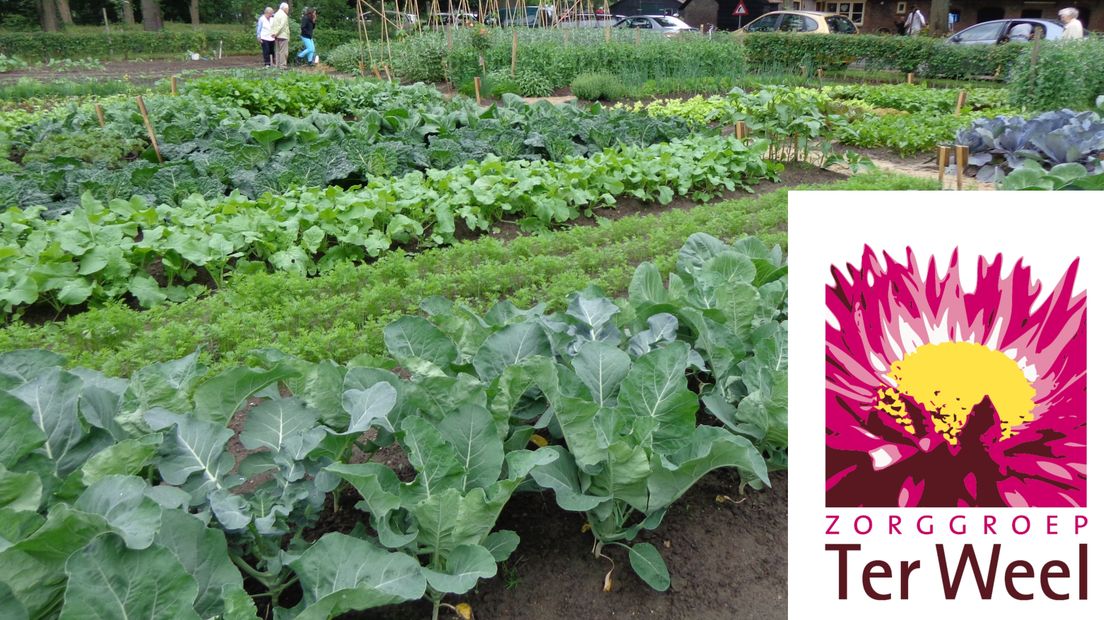 Een tuin voor iedereen in Yerseke