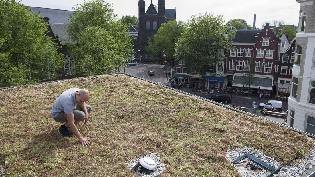 Een voorbeeld van een groen dak