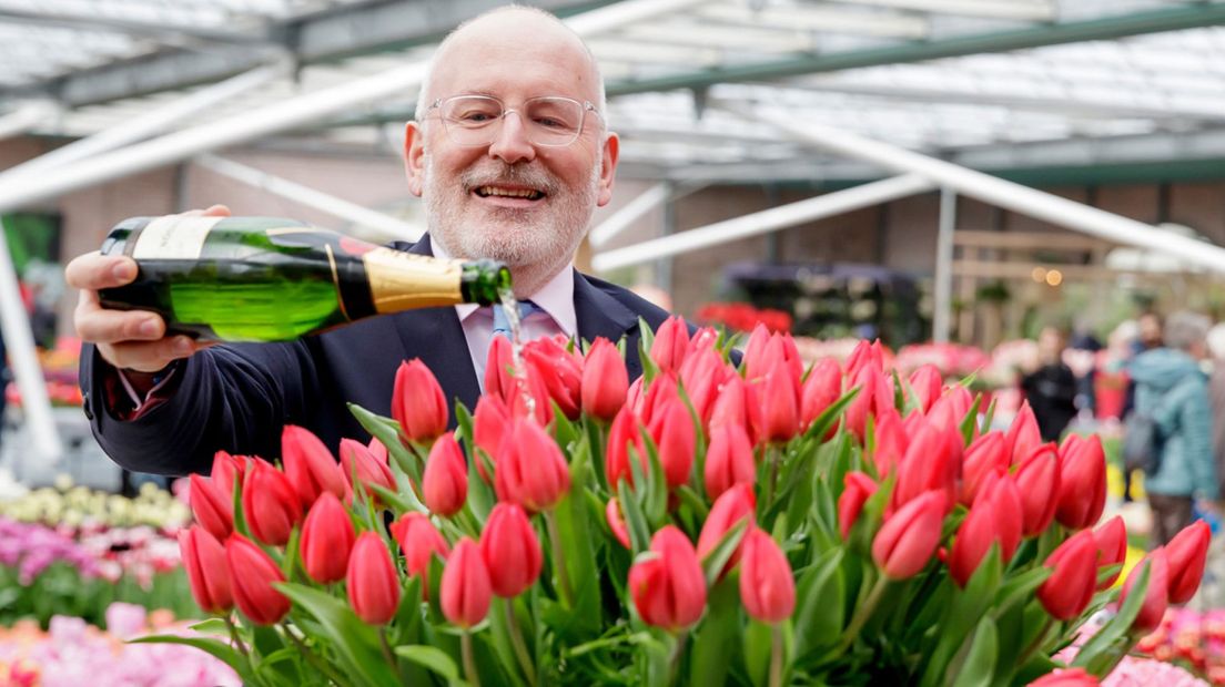 Frans Timmermans doopt een tulp in Keukenhof