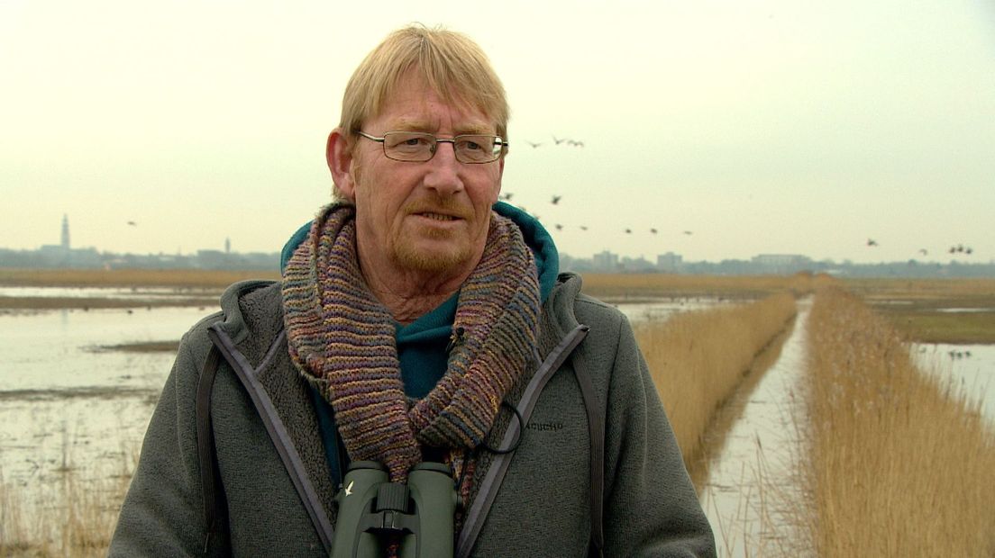 Pim Wolf vogelteller Delta Milieu Projecten Vlissingen