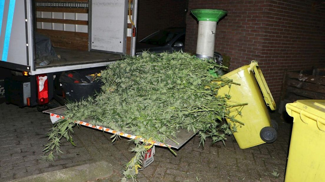 Hennepkwekerij ontdekt in Enschede