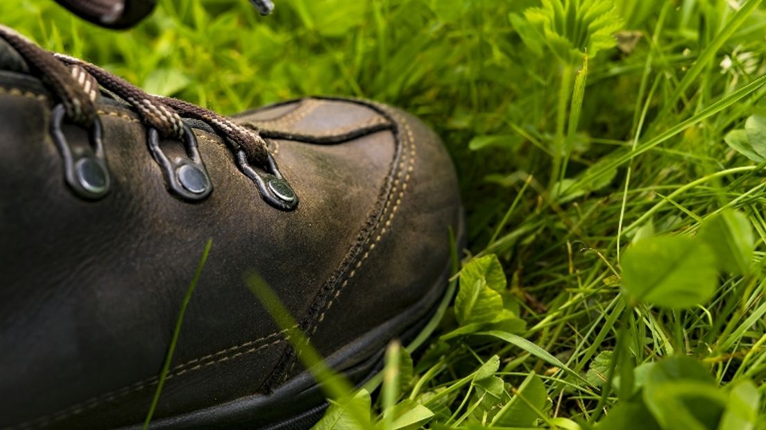 Vincent Zylstra uit Assen helpt arme kinderen door te hiken in Kaapverdië (Pixabay)