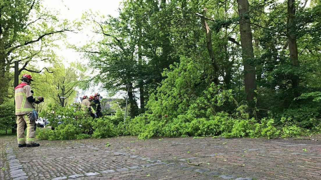 Hoogwerker moet tak afzagen