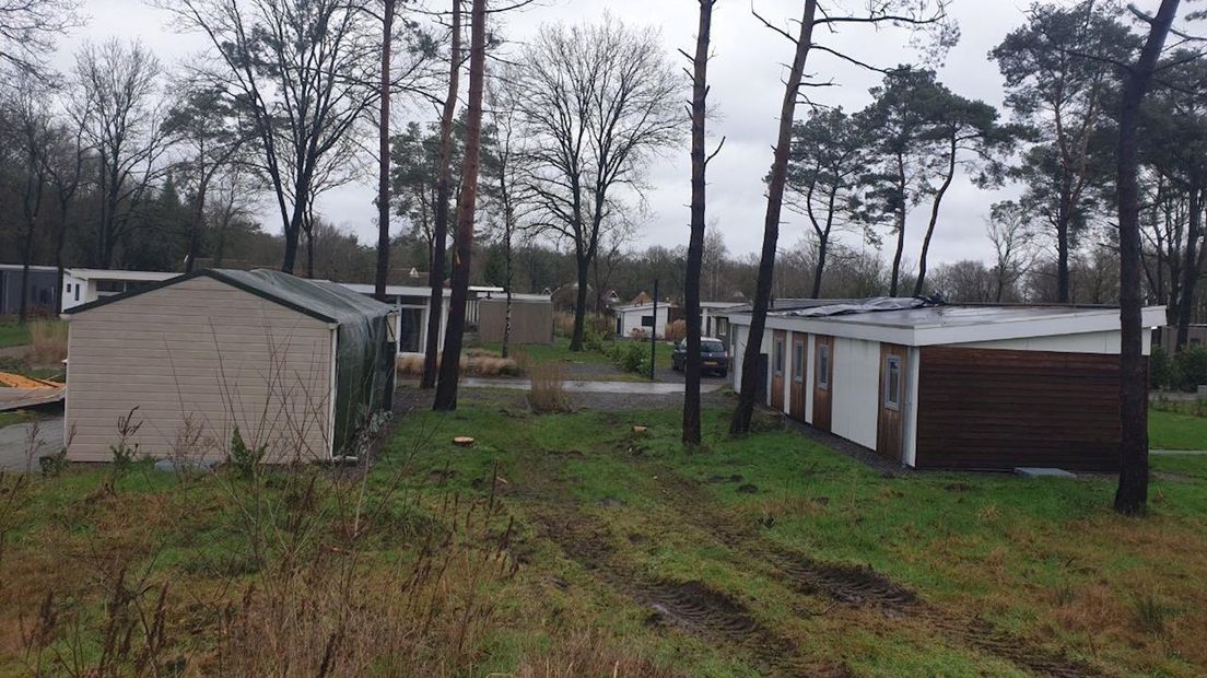 Camping in IJhorst zaagt uit voorzorg bomen om