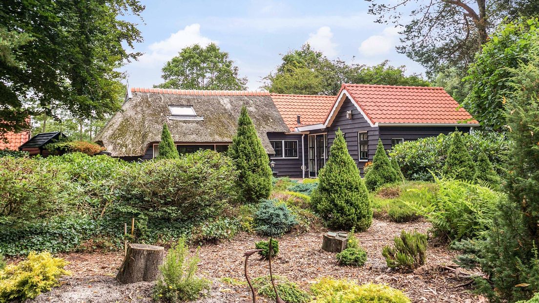 De achtertuin van het huis in Noordwijk