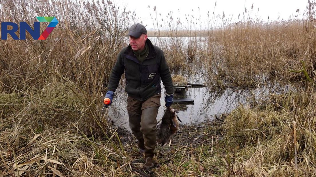 Na het vangen van de bever- en muskusratten schiet Evers ze dood.