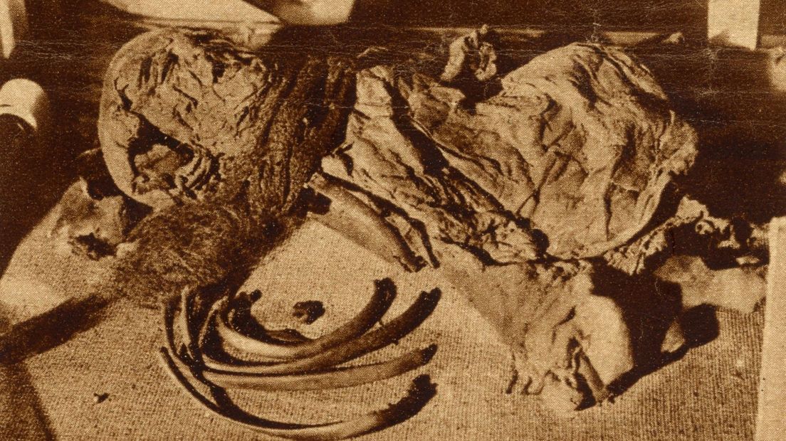 Het Meisje van Yde, hier tijdens een tentoonstelling in 1928