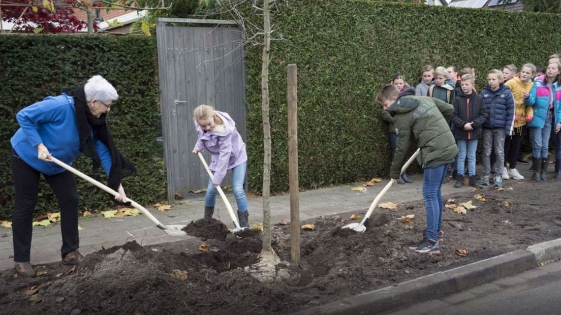 Kinderen groep 8 De Zaaier planten bomen