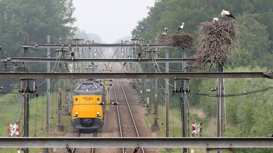 Ooievaarsnesten treinspoor Hoogeveen