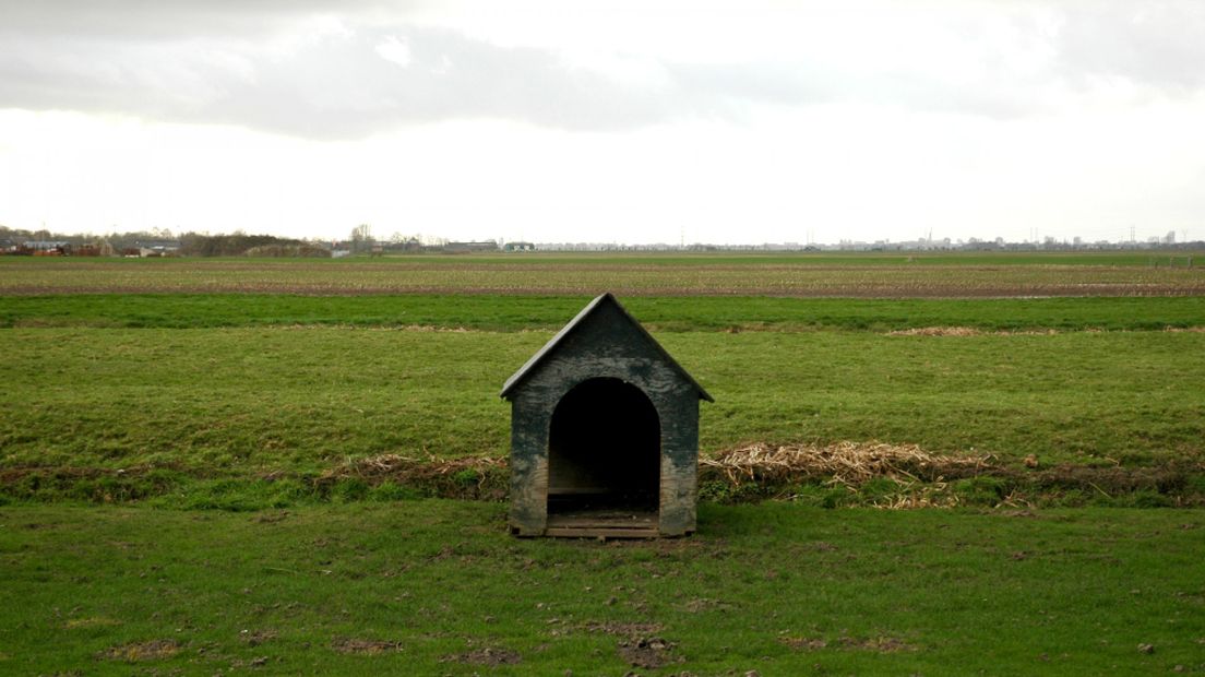 De veelbesproken Gnephoekpolder ten westen van Alphen