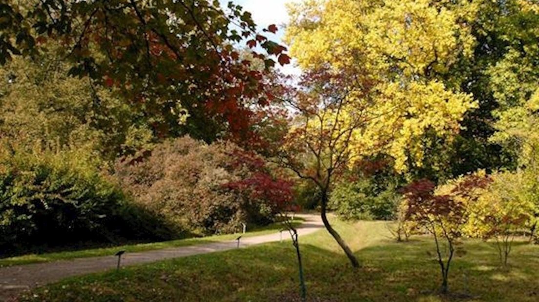 Arboretum Losser