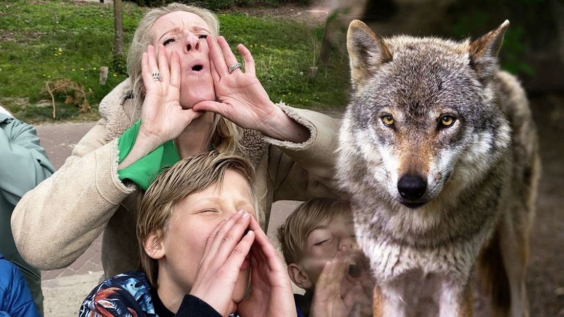 Linda gaat wolven spotten