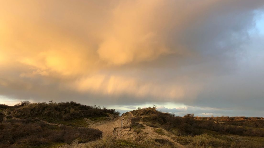 Duinen Westenschouwen