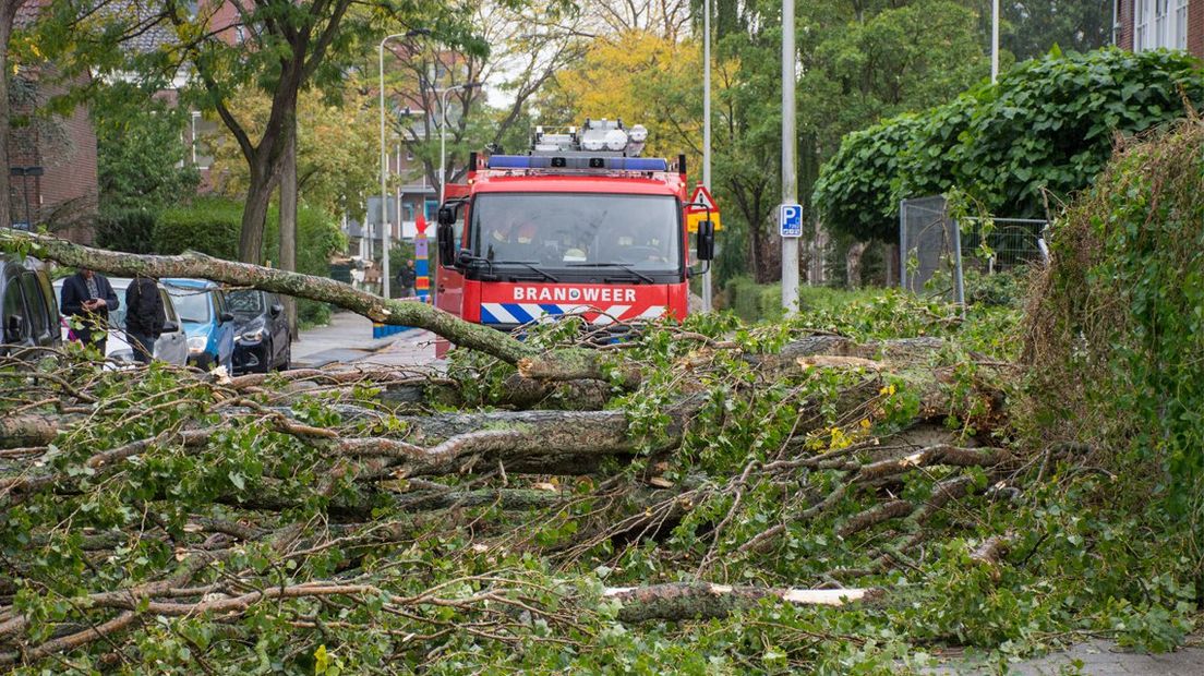 Stormschade op de Damlaan in Leiden.