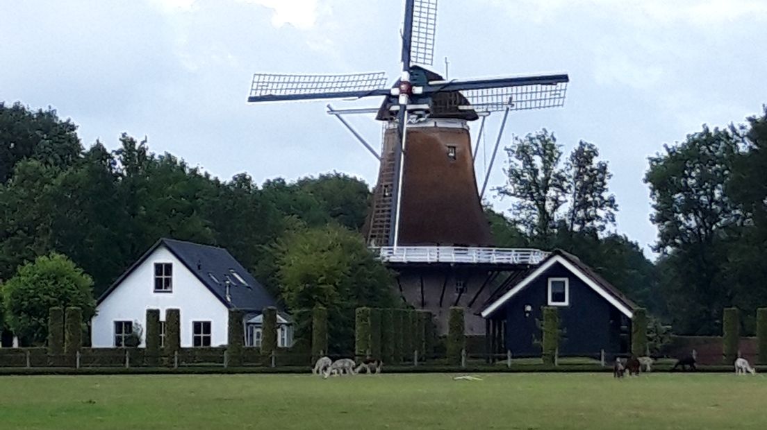 Appel-Driedorp won in 2019 de titel 'Mooiste dorp van Gelderland'. Die titel verdienden ze na een spannende strijd voor het televisieprogramma Zomer in Gelderland, van TV Gelderland.