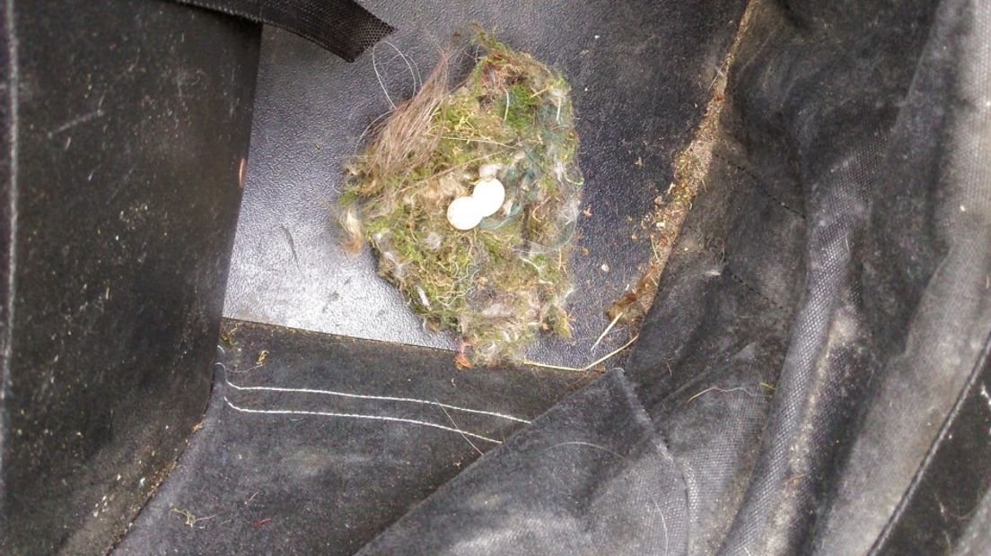 Het tweede vogelnest in de fietstas.