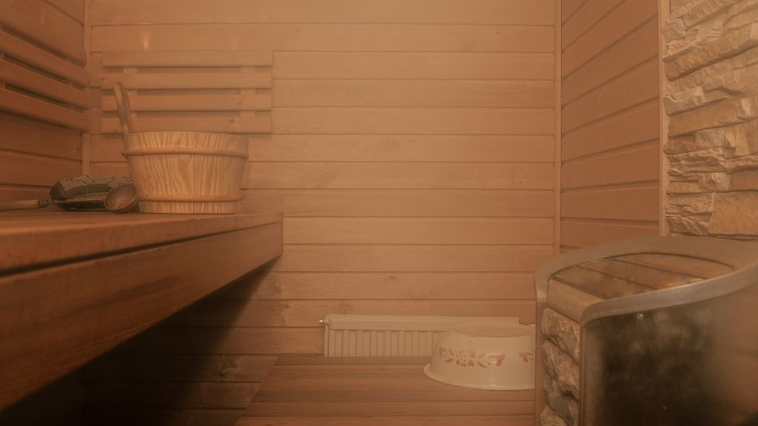 Op internet circuleert een filmpje uit de doucheruimte van de sauna in Peize (Rechten: pixabay.com)