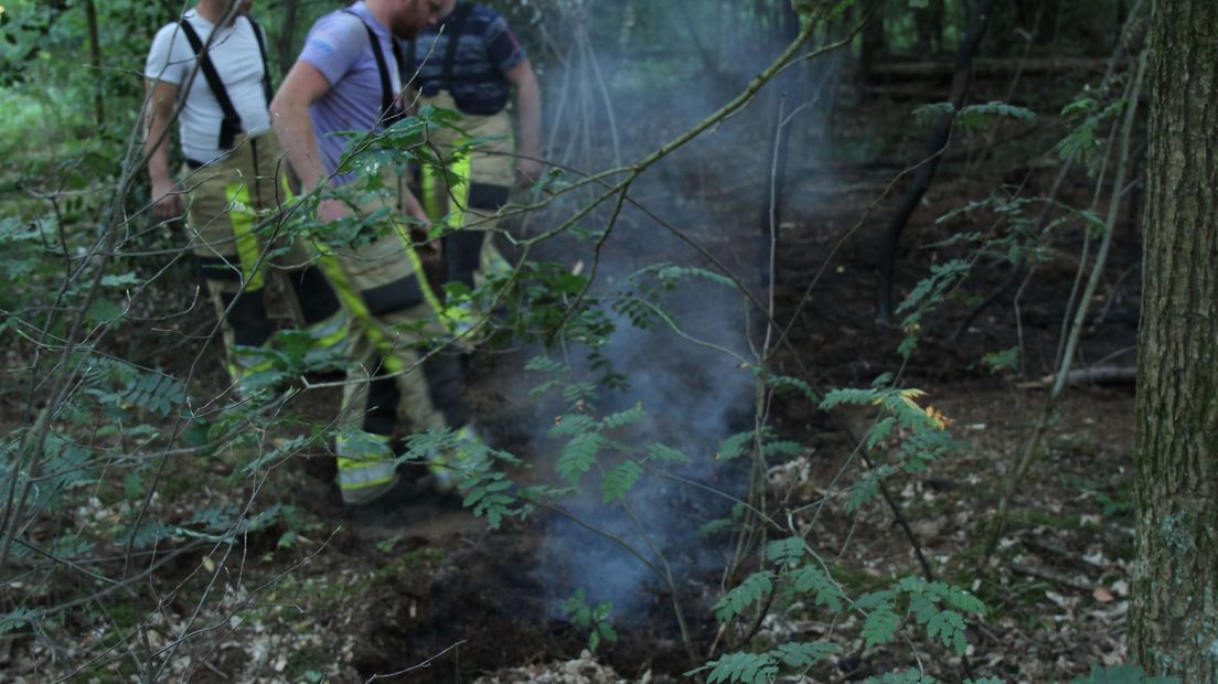 Bosbrand bij Diepenveen