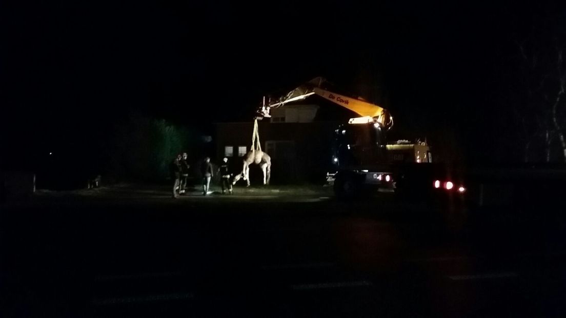 Op de N314 bij Vierakker reed een automobilist deze vrijdagmorgen vroeg een paard aan dat de weg op was gelopen. De weg was in beide richtingen afgesloten maar is inmiddels weer open.
