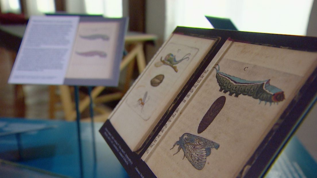 Boeken van insectenkundige Goedaert