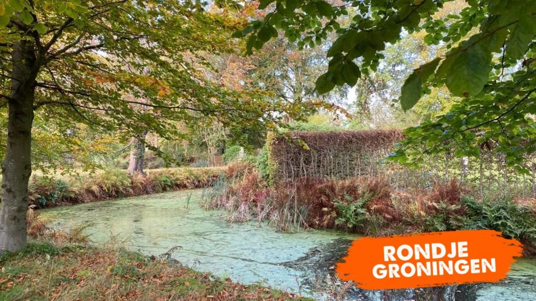 Bomen in de herfst