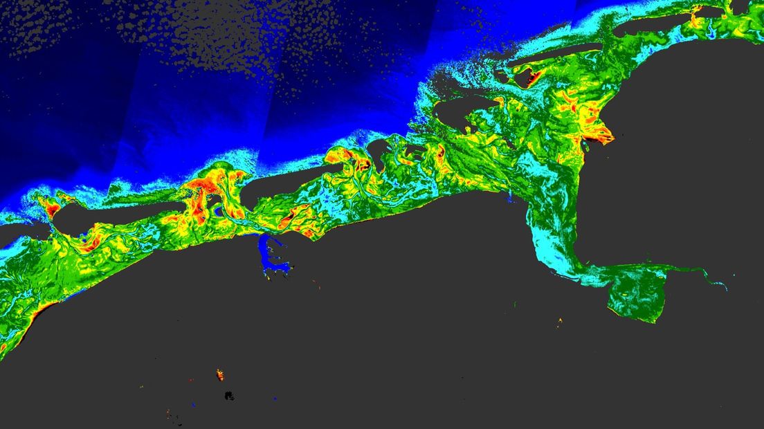 Een deel van de Waddenzee, gezien vanuit de ruimte. De kleuren geven de verschillende concentratie bladgroen in het water aan.