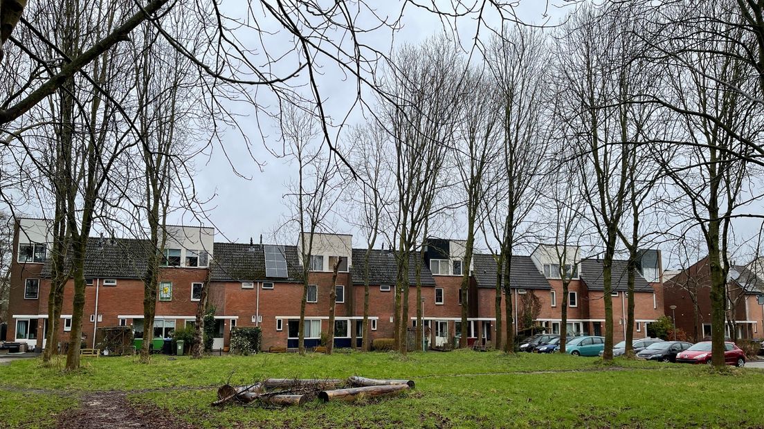De bomen versperren zonlicht voor zonnepanelen in deze straat
