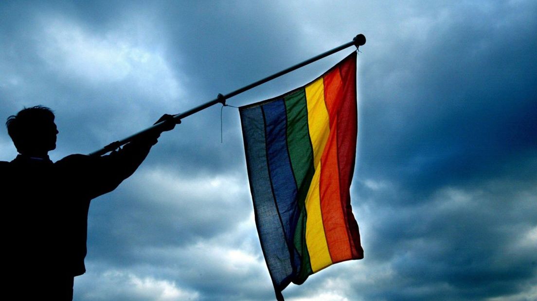 De regenboogvlag