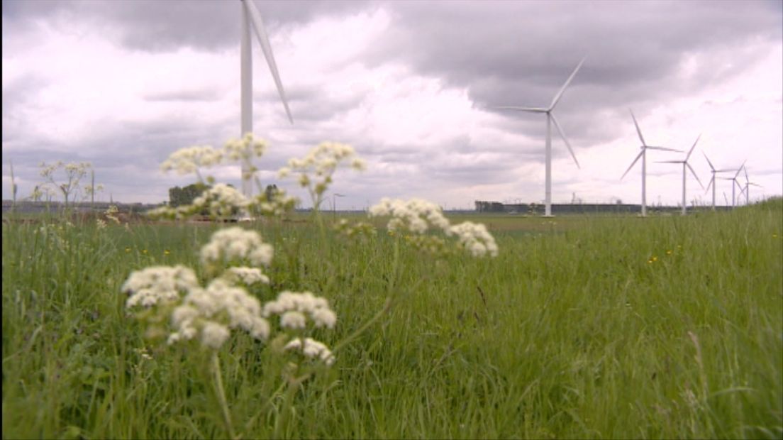 Zeeuwse wind op derde plaats