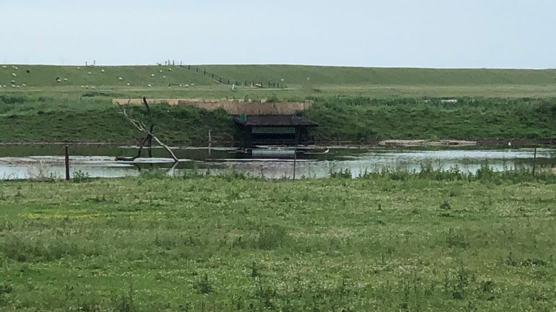 De hut ligt verzonken en verscholen in Polder Breebaart