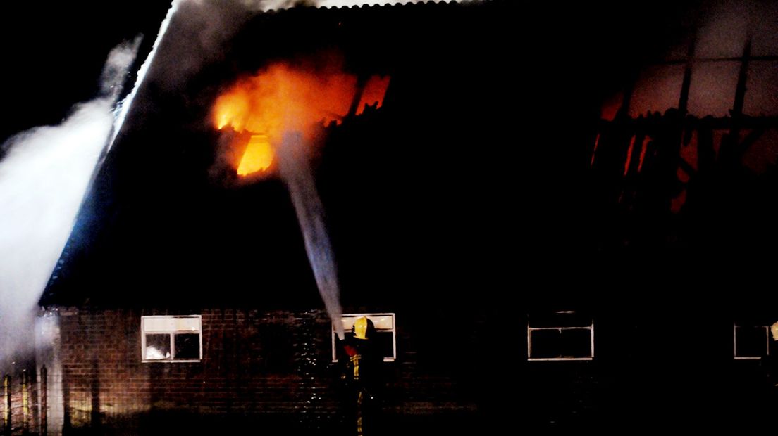 Vee komt om bij brand