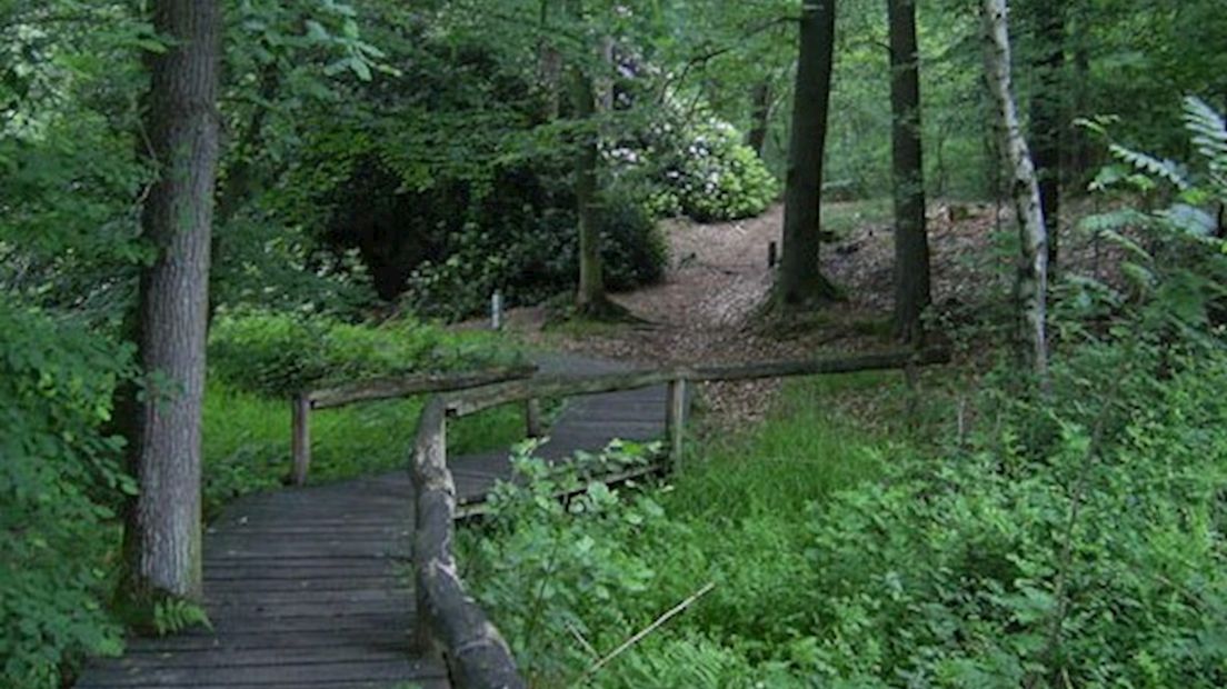 Springendal