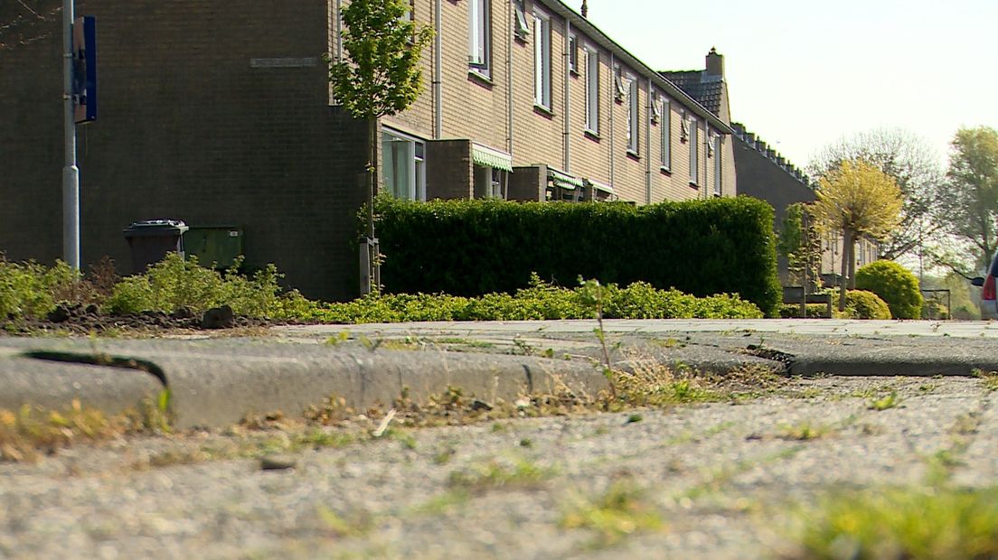 Honderden klachten over onkruidbestrijding (video)