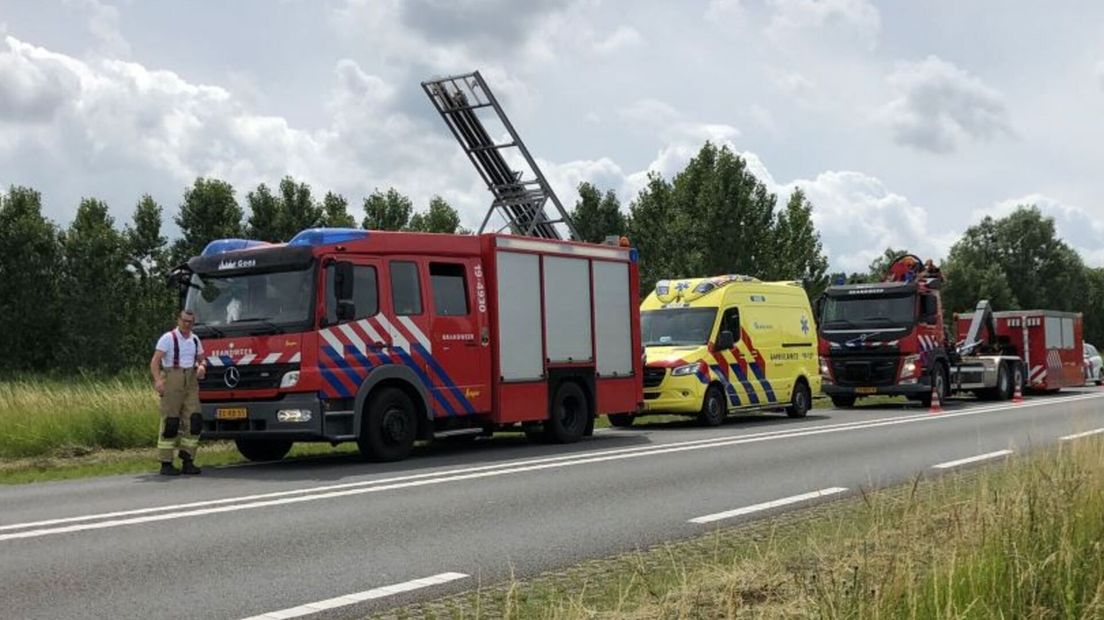 Persoon in weiland