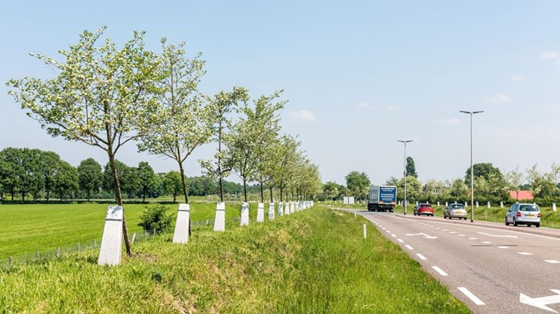 Het Witte Lint langs de N348.