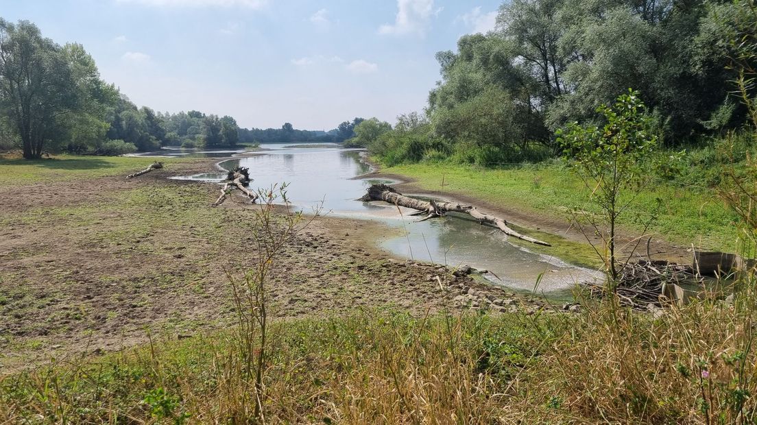 Deze geul langs de IJssel bij Wijhe hoort onder water te staan
