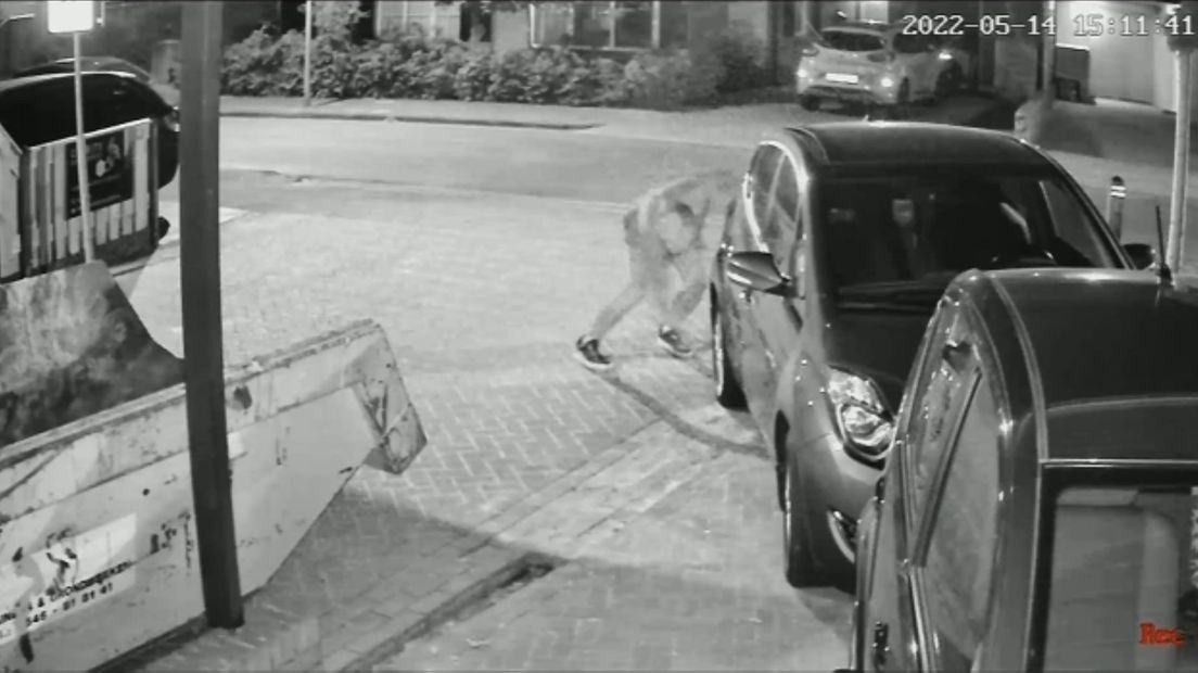Wie is deze bandenprikker?