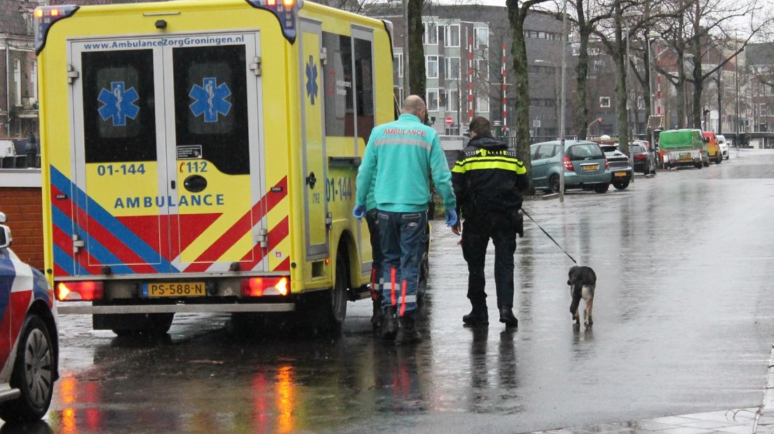 De hulpdiensten met rechts de geredde hond