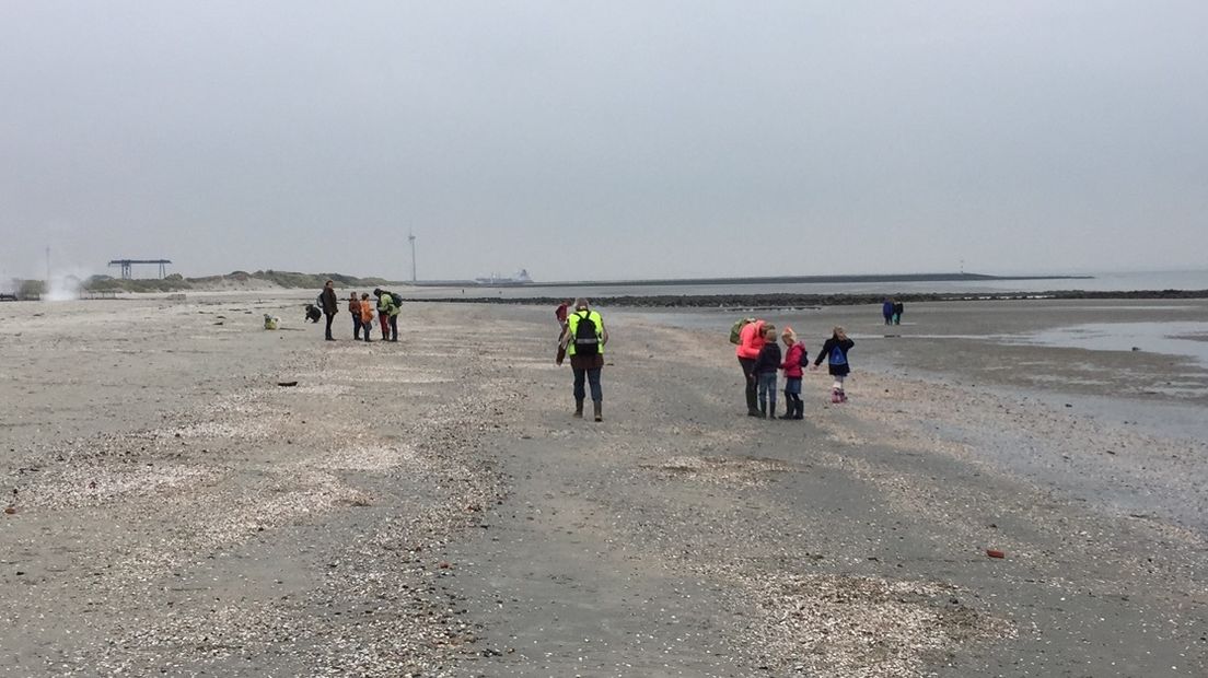 Kinderen zoeken fossielen bij de kerncentrale (video)