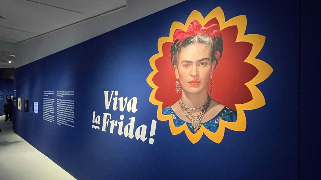 De collectie van Frida Kahlo in het Drents Museum