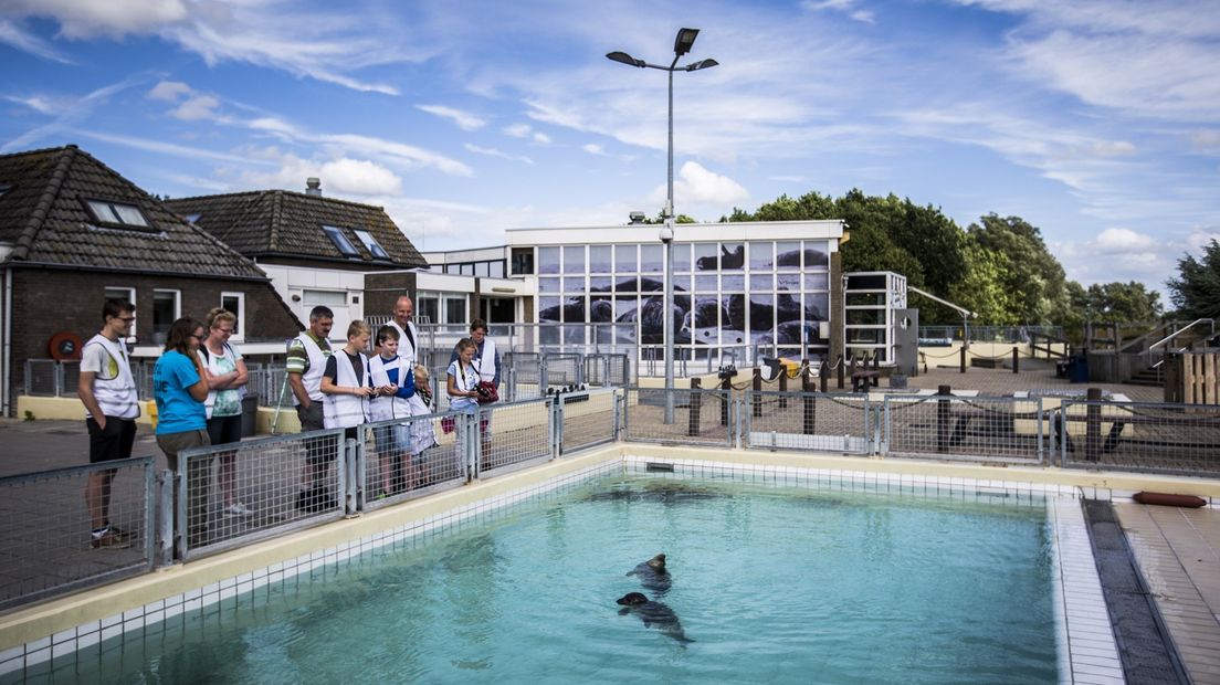 Het Zeehondencentrum