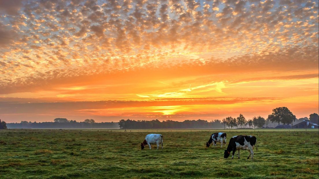 Weerfotograaf Nicky uit Zenderen is gek op slecht weer