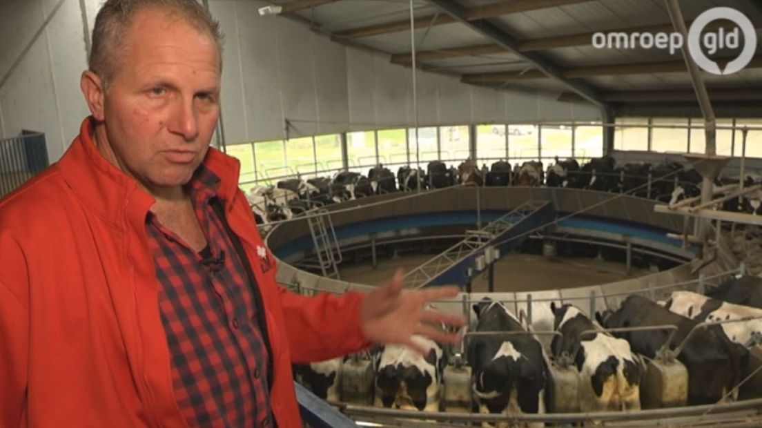Volgens de organisatie is het de Oscar in de veehouderij, de Agrafiek Award. Woensdag wordt de prijs uitgereikt en twee van de drie kanshebbers komen uit Gelderland. Beiden doen dat op hun heel eigen wijze en zijn min of meer elkaars tegenpolen: een ambachtelijke ijsmaker uit Hummelo en een megaboer op de Veluwe.