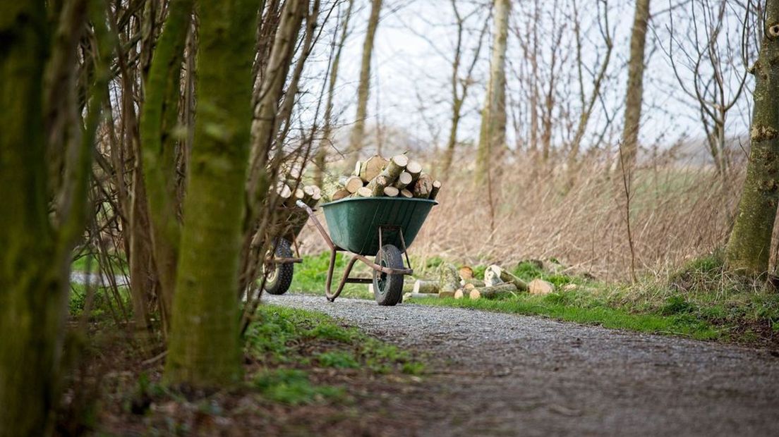 Vrijwilligerswerk doen in de buitenlucht? Dan is dagbesteding Hilgelo op zoek naar jou