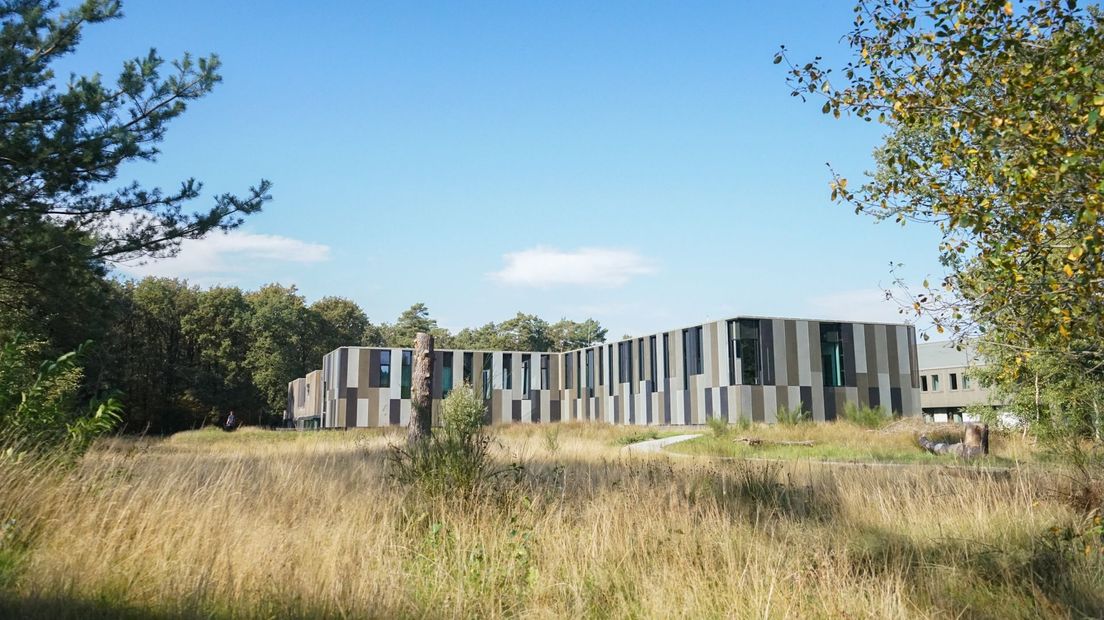 ASTRON uit Dwingeloo deed een bijzondere ontdekking (Rechten: RTV Drenthe / Kim Stellingwerf)