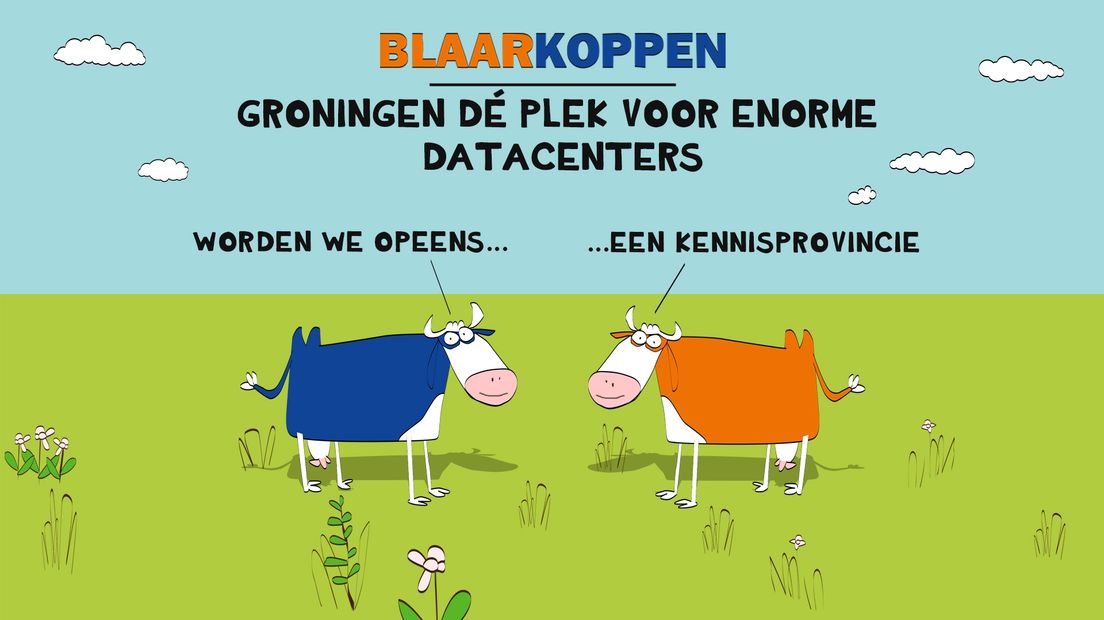 Blaarkoppen