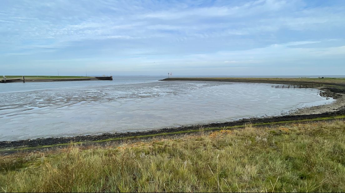 De zwaaikom van de haven Lauwersoog, de locatie voor het getijde-kunstwerk