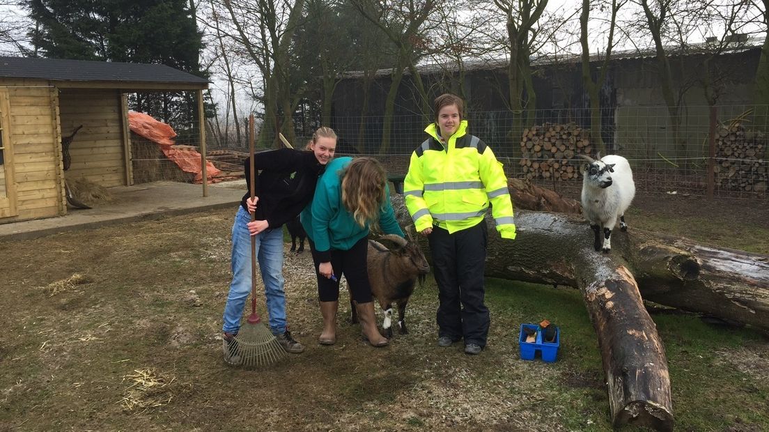 Meer ruimte voor Thoolse zorgboerderij (video)